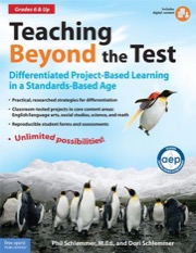 Teaching Beyond the Test