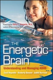 the energetic brain