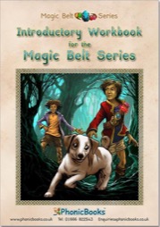 magic belt series introductory workbook