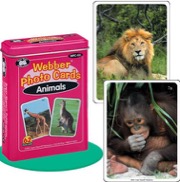 webber photo cards - animals