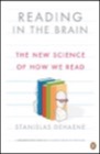 reading in the brain